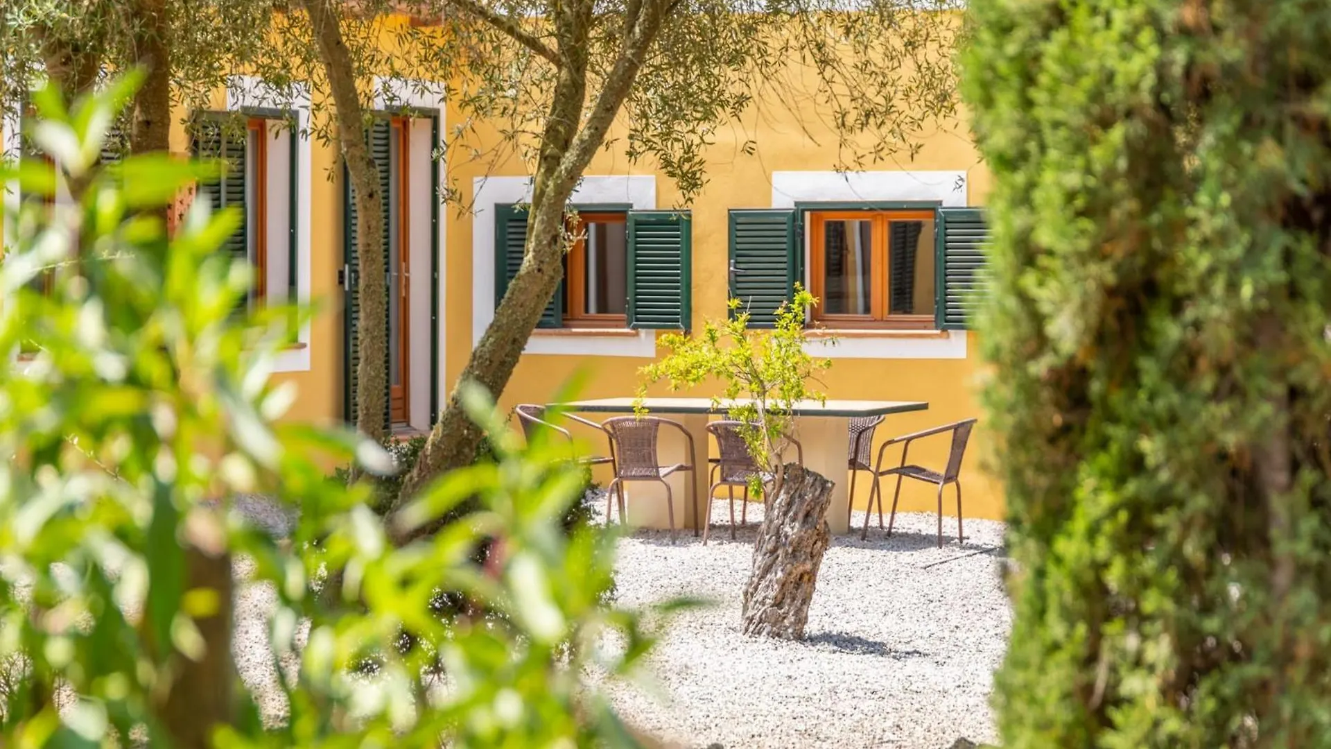 Country House With Pool In Manacor Manacor (Mallorca)
